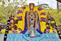 Pallakkku Utsavam - Oct 7, 2024