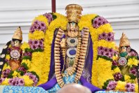 Pallakkku Utsavam - Oct 7, 2024