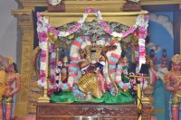 Sarva Bhupala Sevai - Oct 7, 2024