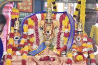 Kalyana Utsavam - Oct 13, 2024