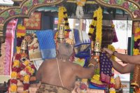 Kalyana Utsavam - Oct 13, 2024