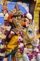 Ashwa Vahanam - Sep 24, 2023