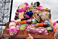 Pallaku Utsavam - Sep 24, 2023