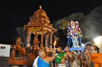 Ashwa Vahanam - Sep 24, 2023