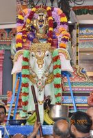 Gaja Vahanam - Sep 22, 2023
