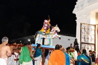 Ashwa Vahanam - Sep 24, 2023